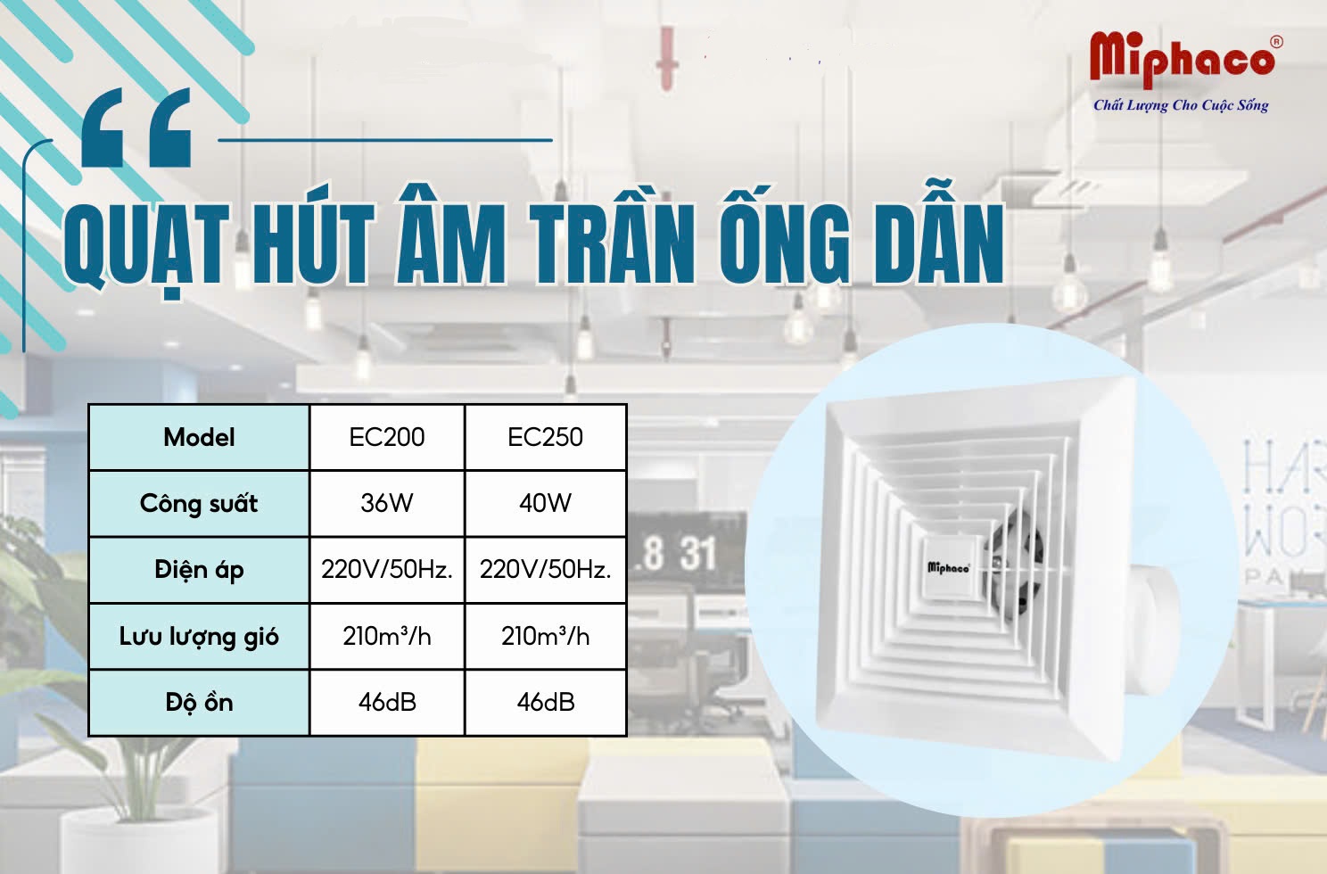 hut_am_tran