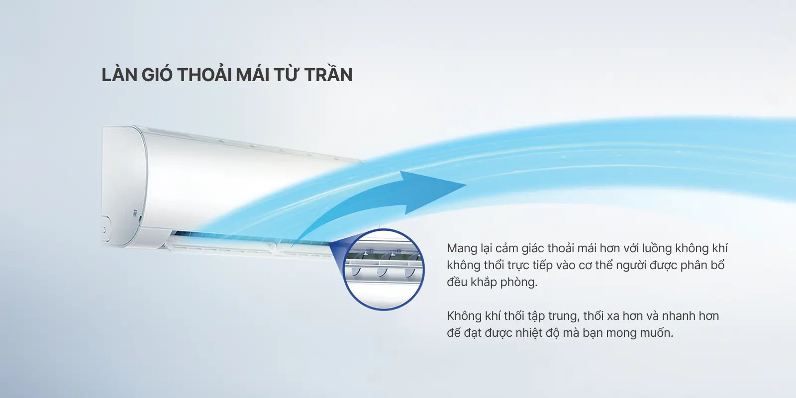 z5203934142702_d966d53afbfc1b0c3decaada6859ab4b