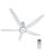 Quạt trần Panasonic F-60TDN